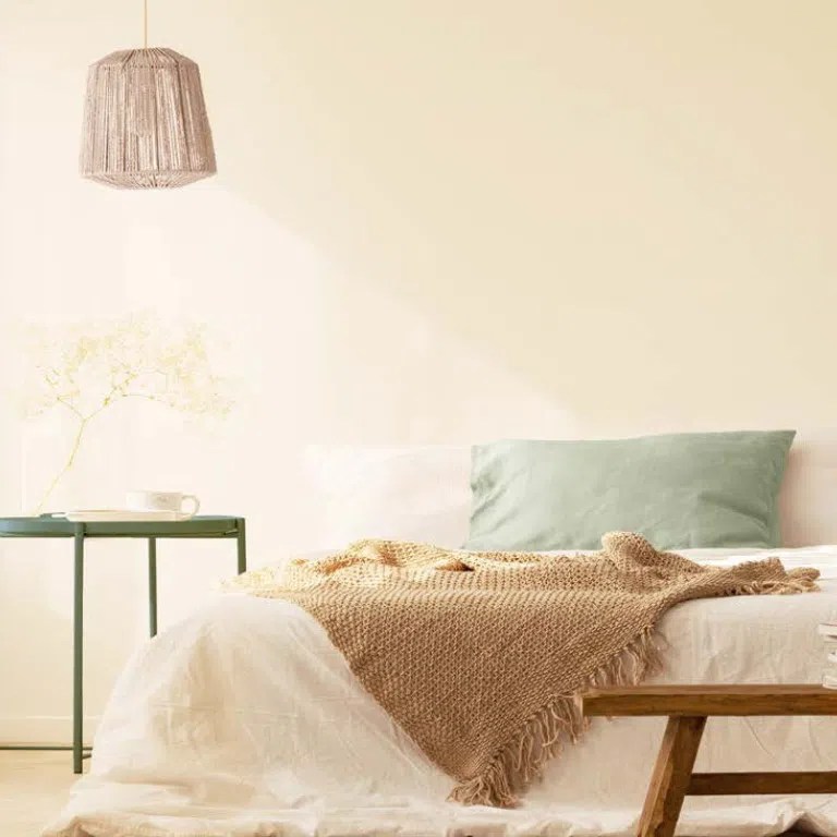 Zen Nippon Paint Singapore