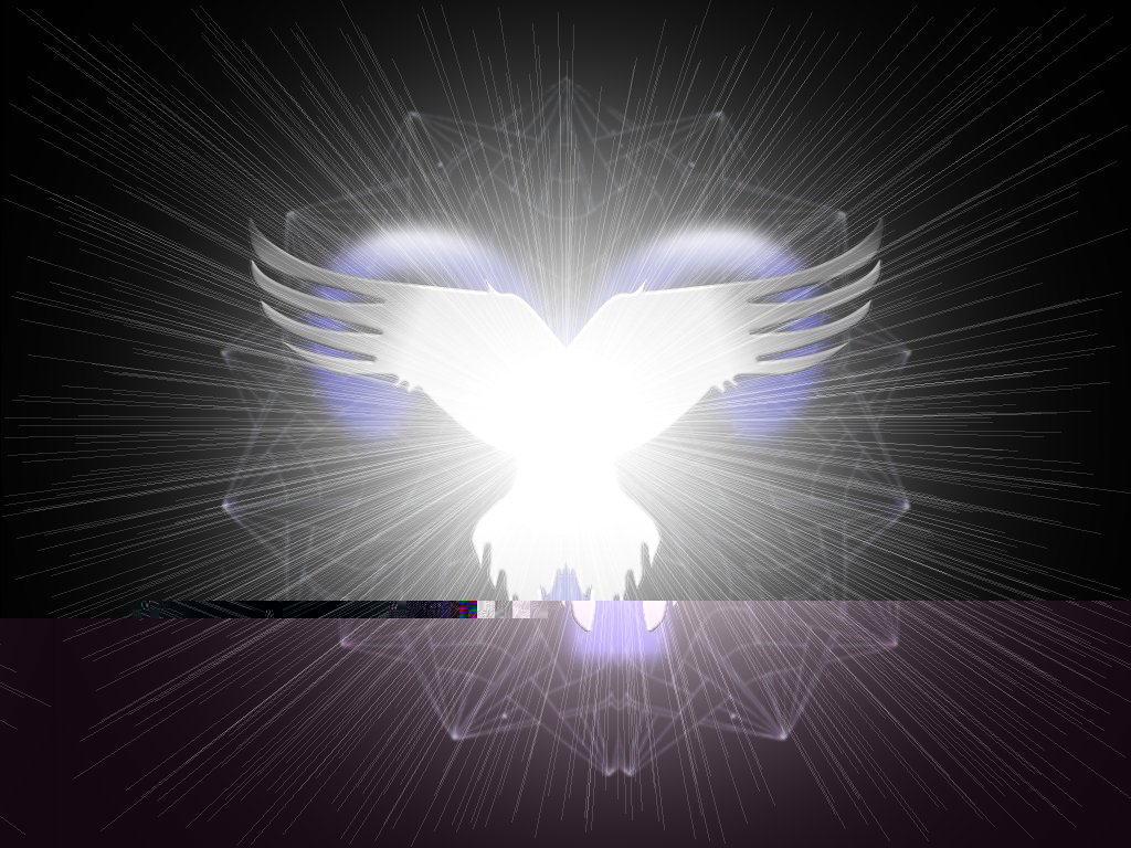 Wings_Of_Light Gallery Image 19 of 25