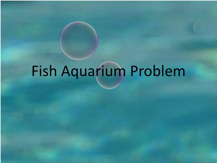 Getting Answers To Problems Fish Care