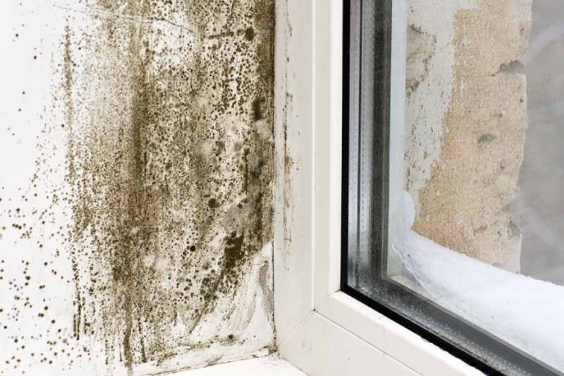 4 Ways To Deal With Household Damp Problems NI Property Hub
