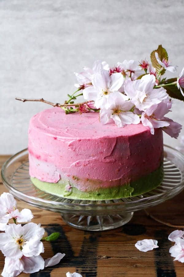 Raspberry Matcha Celebration Cake (glutenfree & vegan) Nirvana Cakery