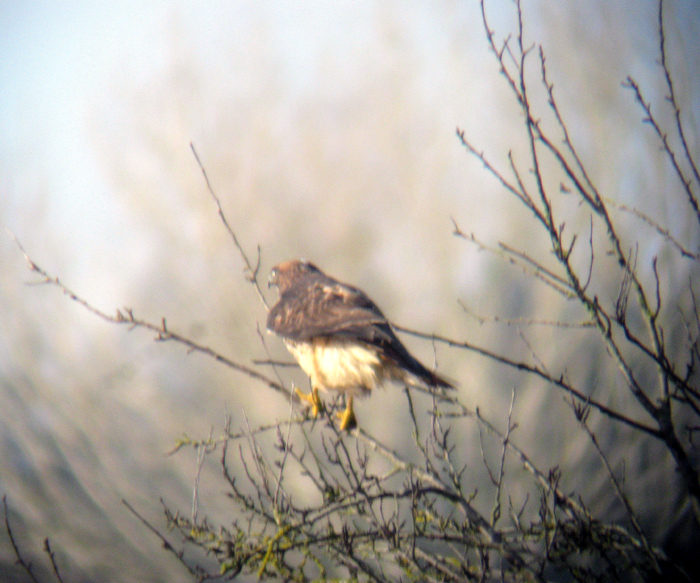 Louis Vuitton Boxing Day Sale Canada