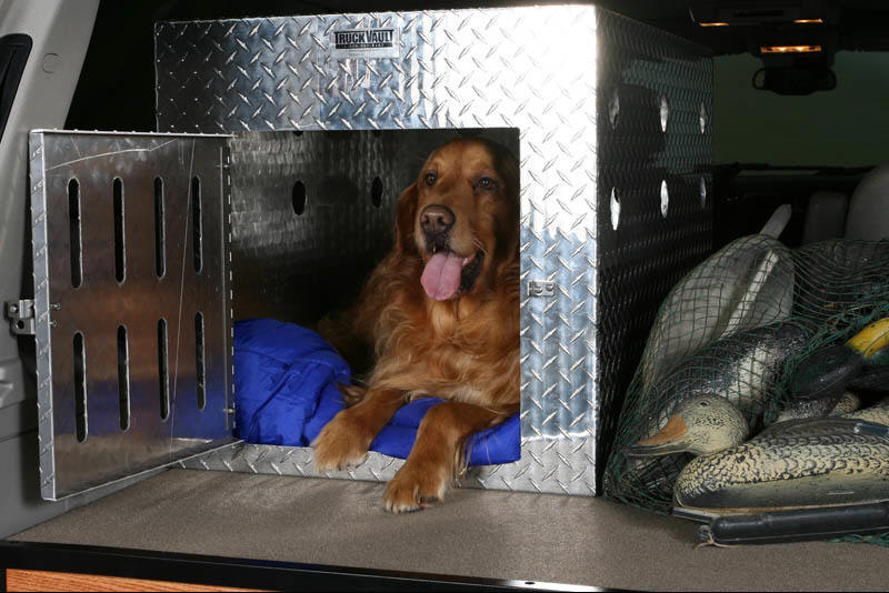 Dog, Vault, Pet, Carrier, K9, Cage