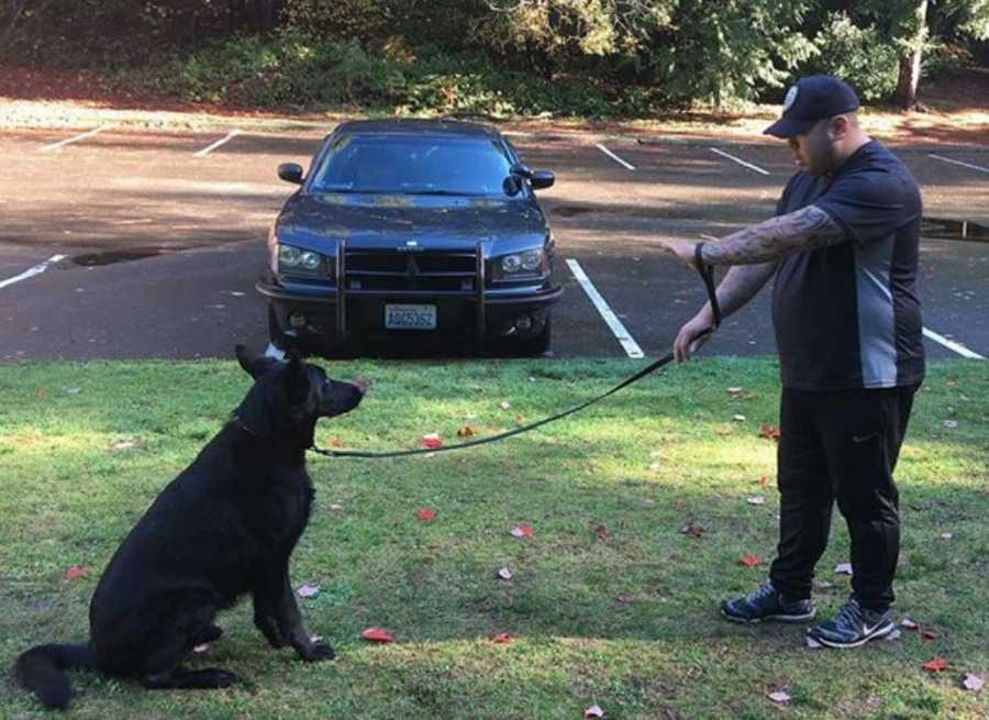 In Defense of Balanced Dog Training Nitro K9 LLC