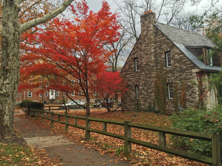 302 Locust Lane Nittany Properties LLC