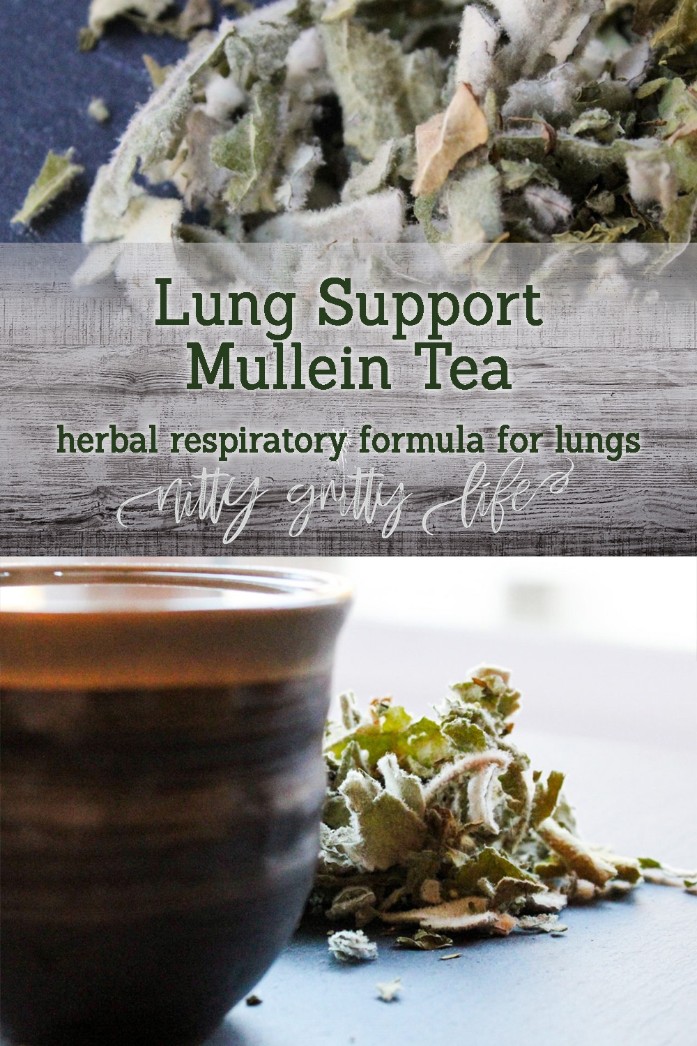 Respiratory Herbs Mullein Benefits & Lung Support Tea