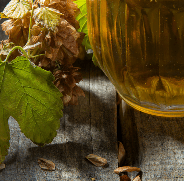 Nervine Herbs Hops for Relaxation & a Restful Night's Sleep