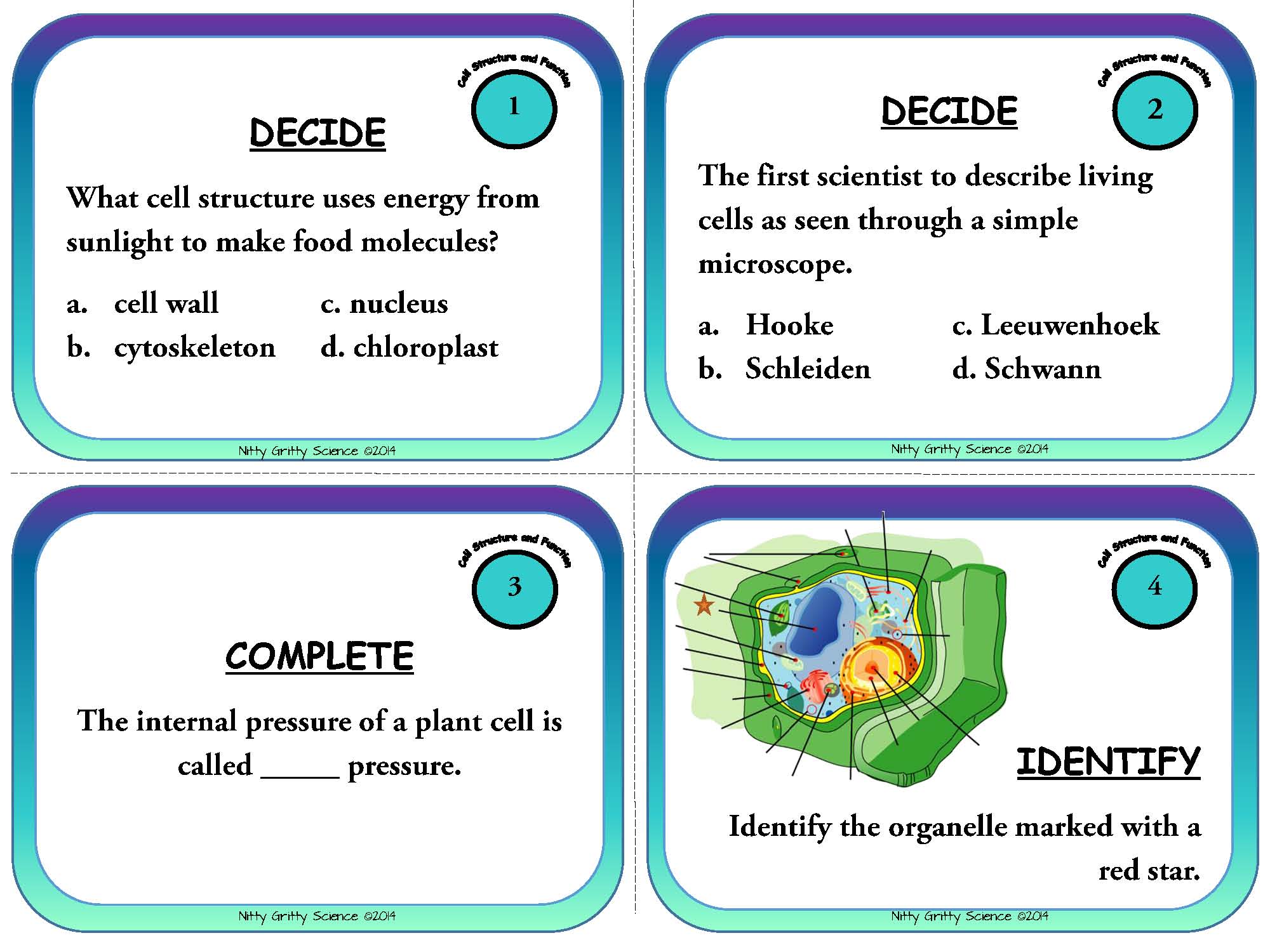 Cells: Structure and Function – Life Science Task Cards | Nitty Gritty