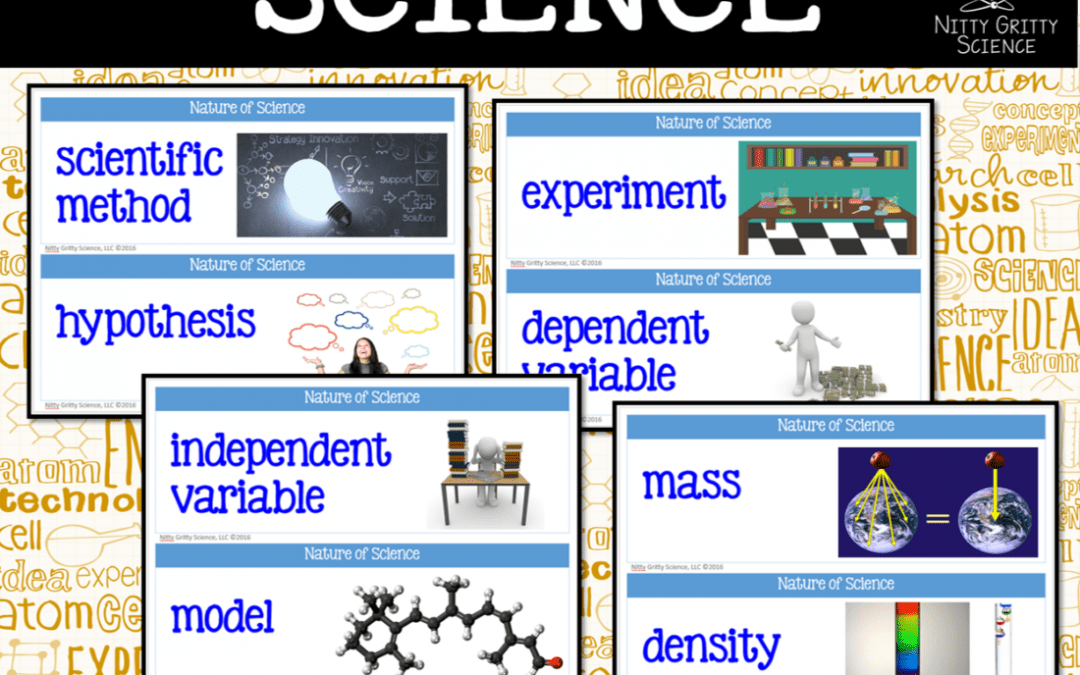 Using Word Walls in Science Nitty Gritty Science