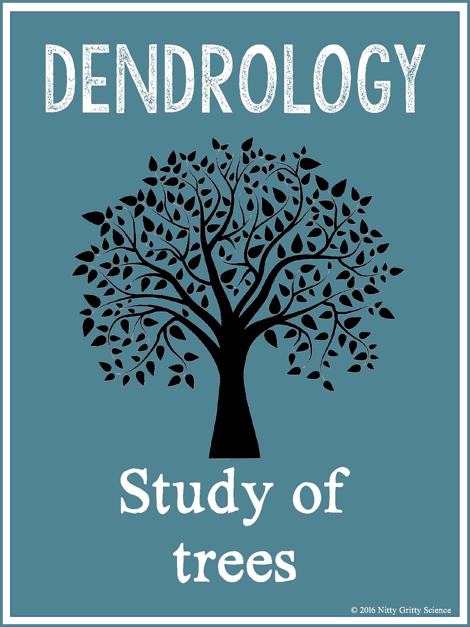 Science Classroom Posters OLOGY Poster Set Nitty Gritty Science