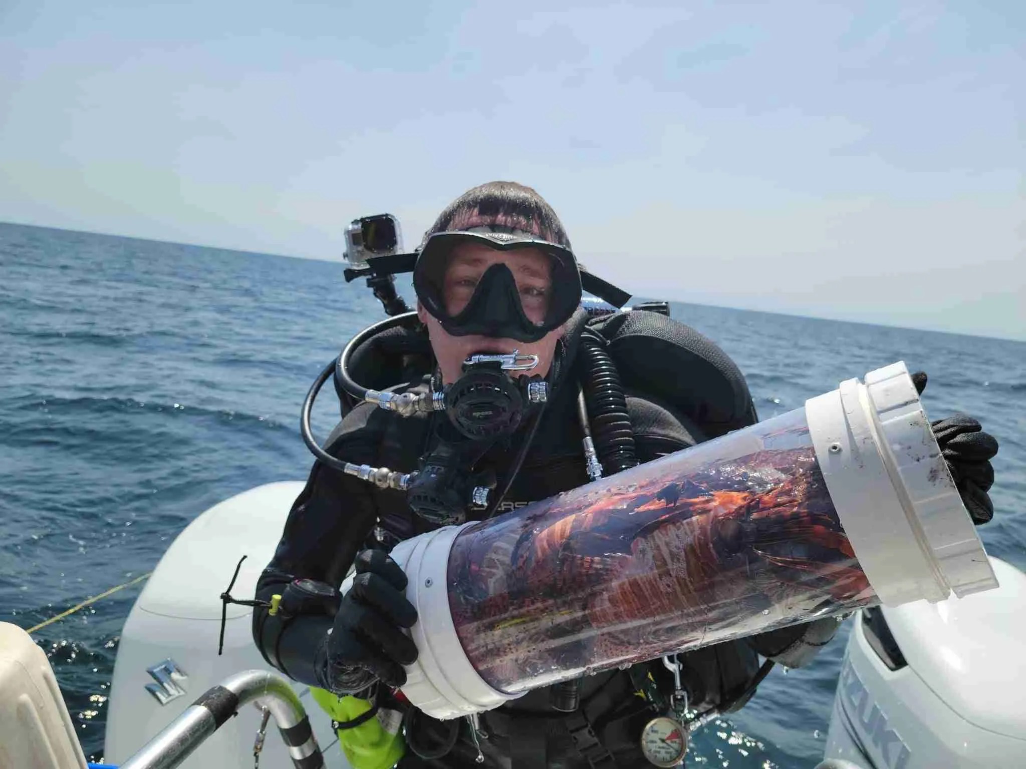 About Niuhi Dive Charter Pensacola, FL Gulf Coast Diving