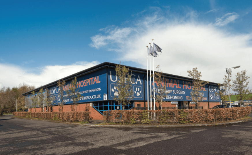 Help where it’s needed Northern Ireland Veterinary Today