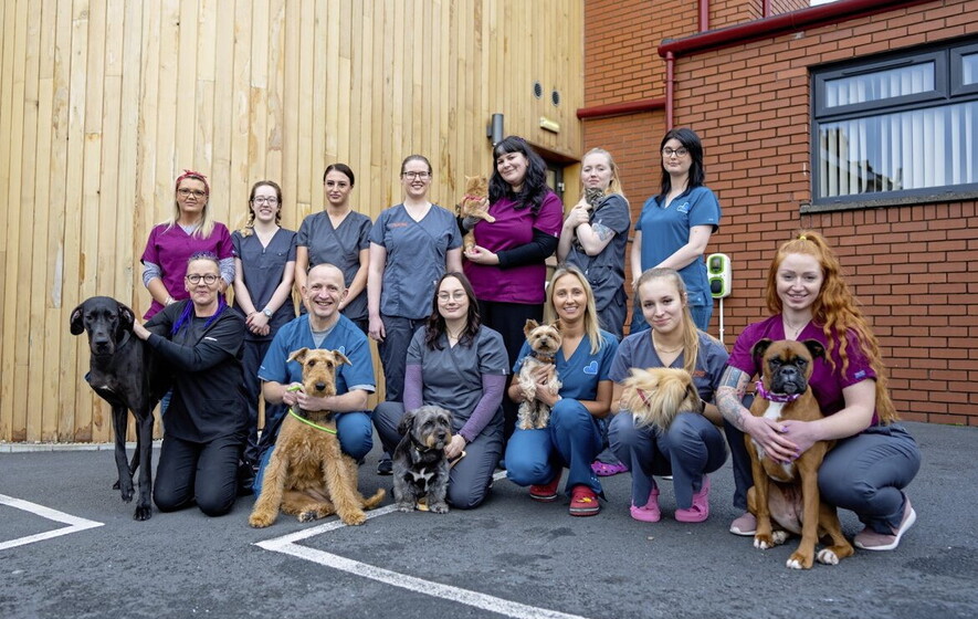 East Belfast veterinary practice now owned by its staff Northern