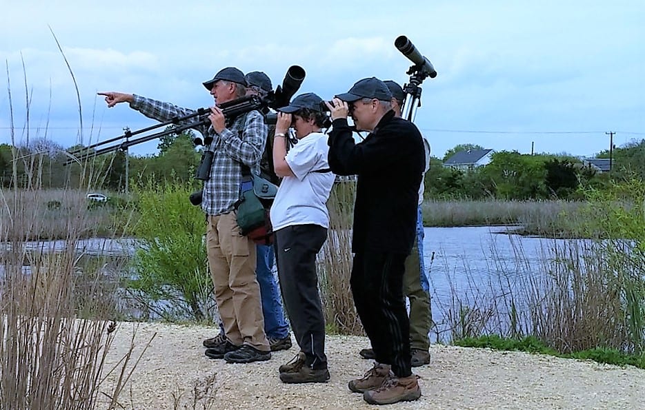 New Jersey Audubon Connecting People with Nature