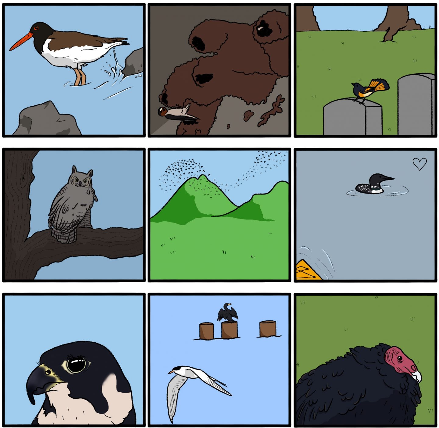 World Series of Birding New Jersey Audubon