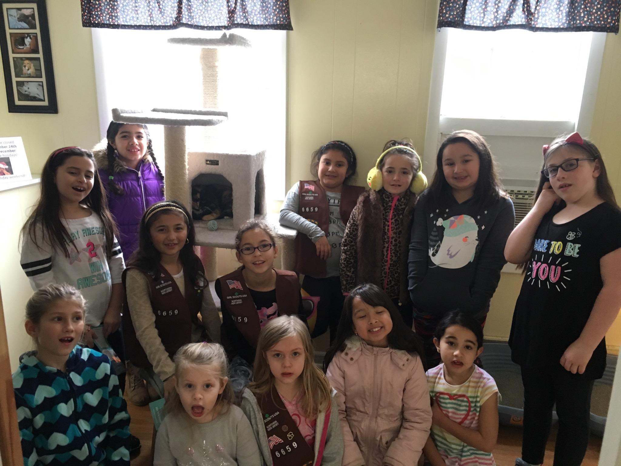 Closter Animal Welfare Society (CLAWS) NJ Cat and Dog Adoption Girl