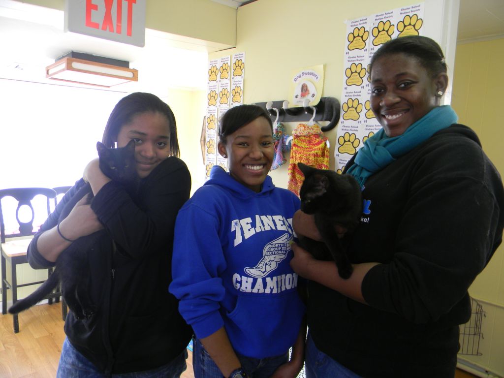 Closter Animal Welfare Society (CLAWS) NJ Cat and Dog Adoption Girl