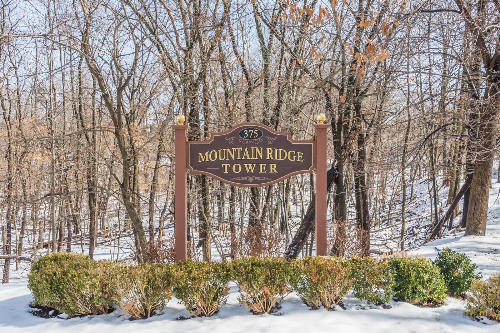 375 Rifle Camp Road Woodland Park New Jersey NJ