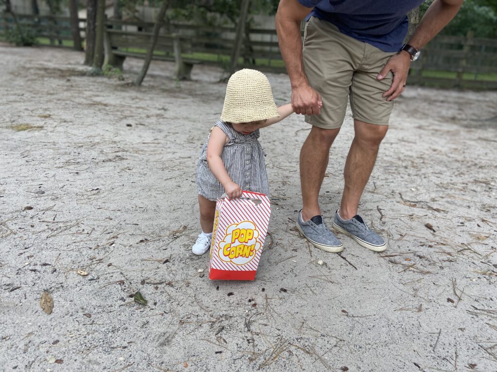 Popcorn Park Refuge Zoo A Sanctuary For Animals In Need