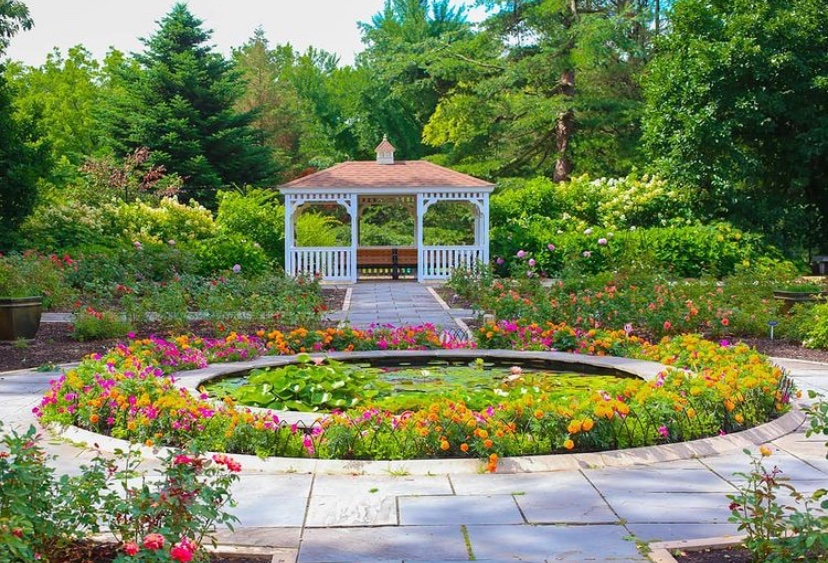 Spring Flowers In NJ Are Here—Where To See Every Bloom