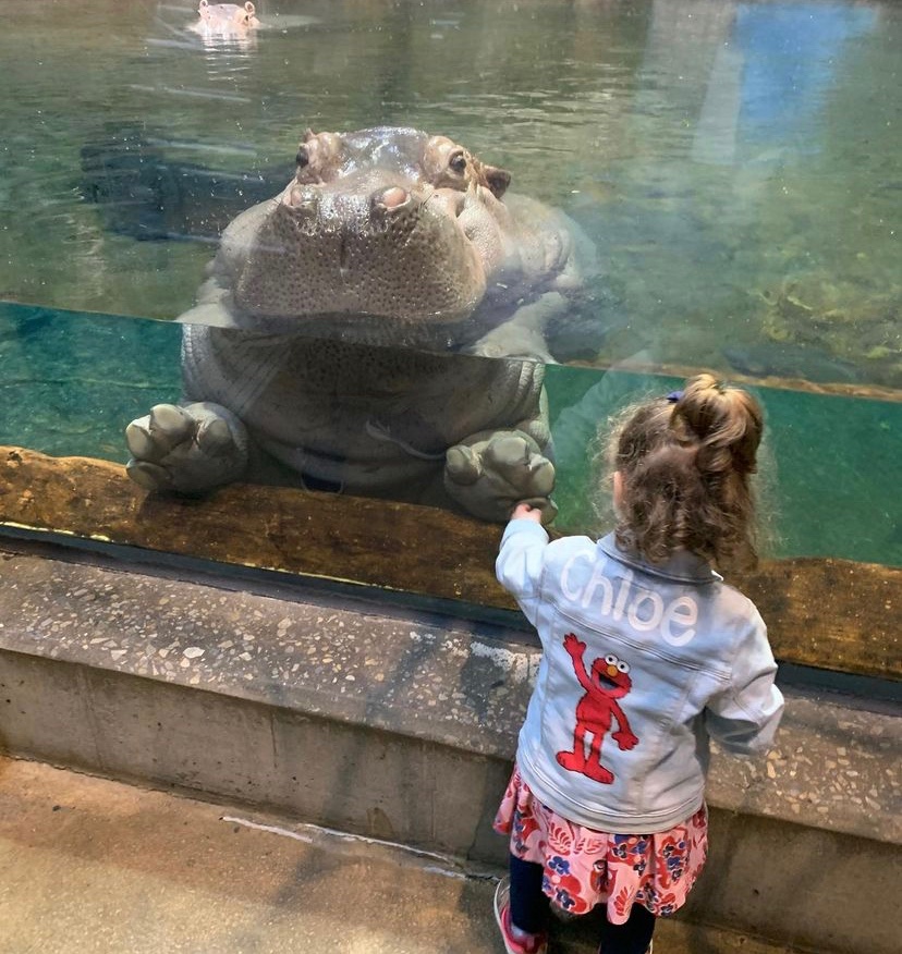 Camden Adventure Aquarium An Underwater Experience