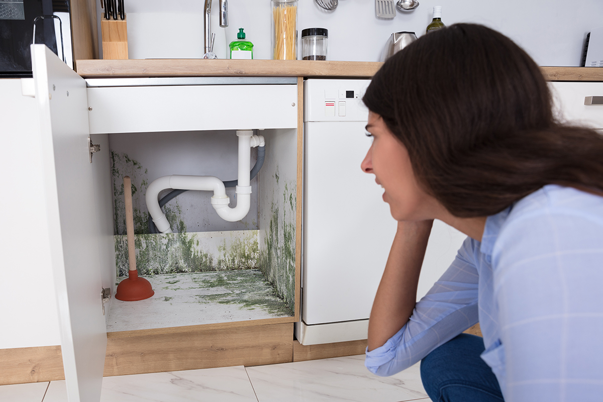 3 Issues That Can Cause Home Mold Problems Mold Inspections Water