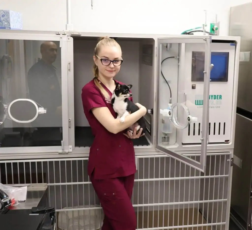 Animal Hospital Tour 08861 Animal Hospital of Perth Amboy