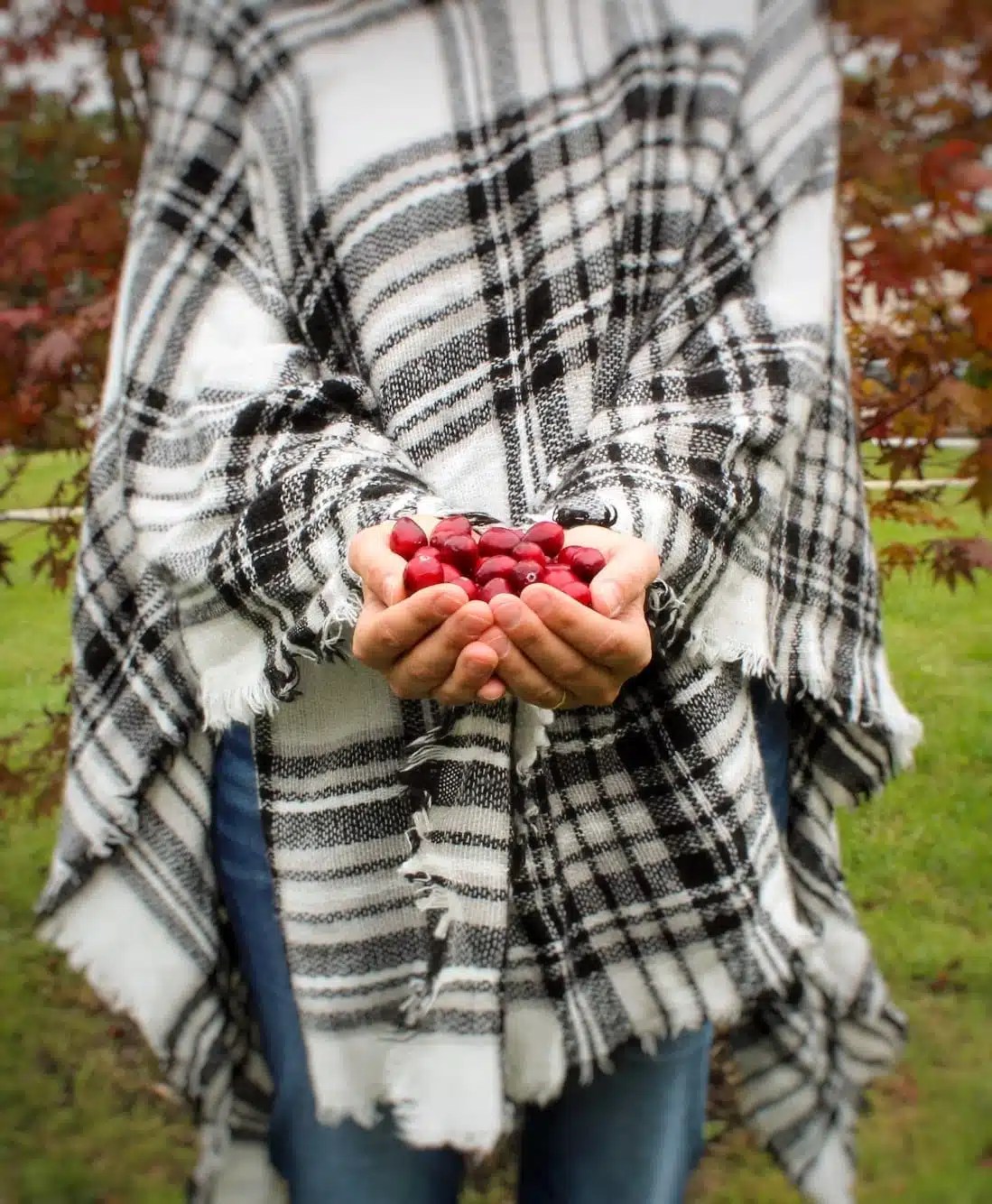 New Jersey Cranberries A Tour of the Garden State Fruit