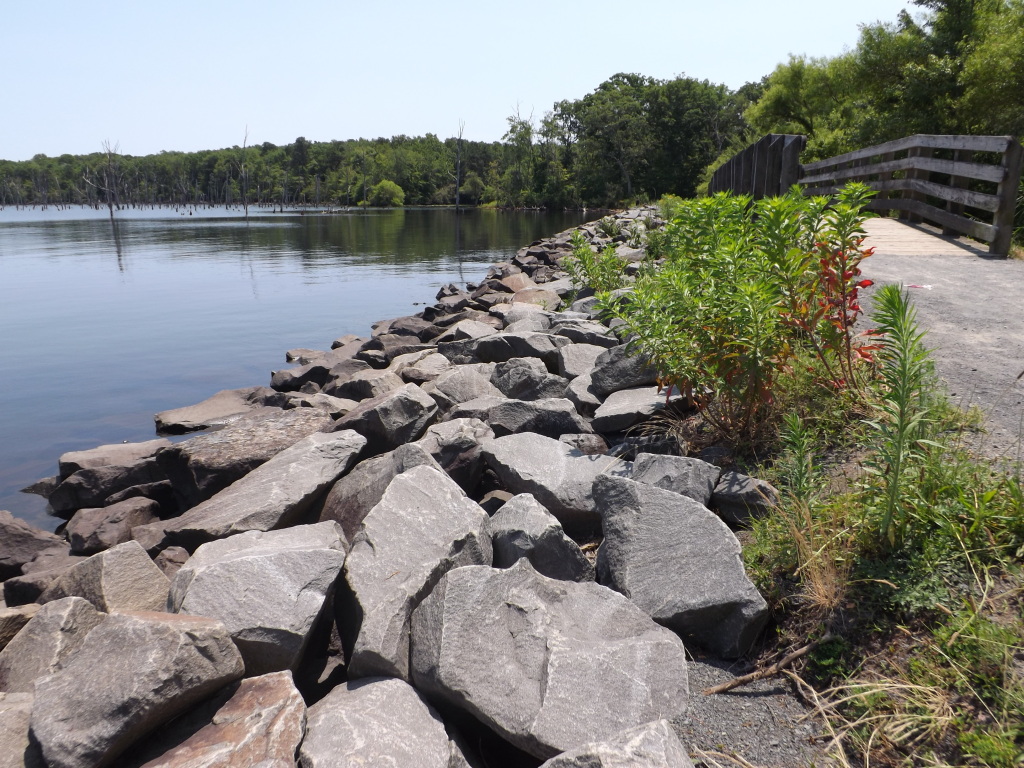 Manasquan Reservoir Hiking Trail Guide and Map New Jersey Trails