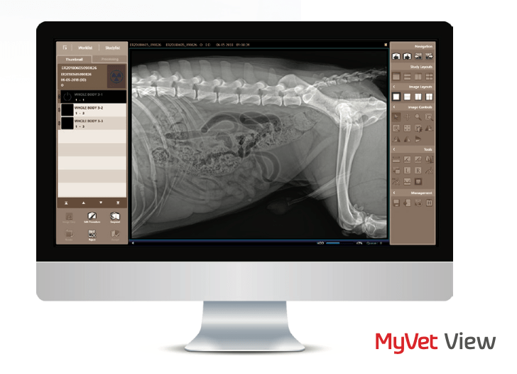 MyVet Table X500 Digital Radiographic Table New Jersey XRay