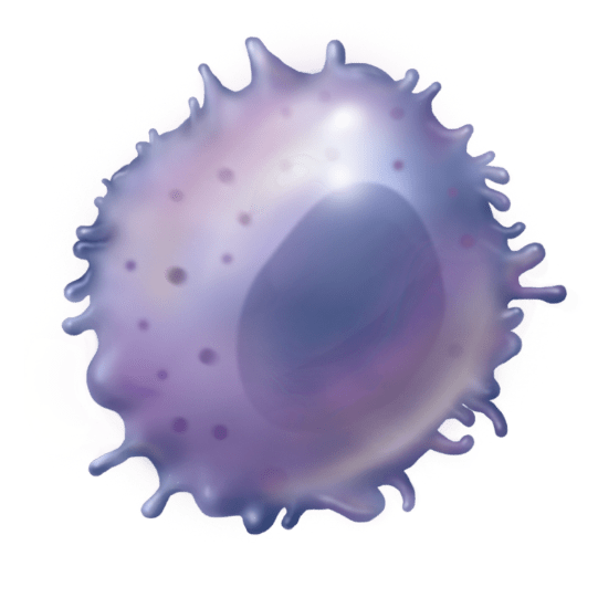 Science NKGen Biotech