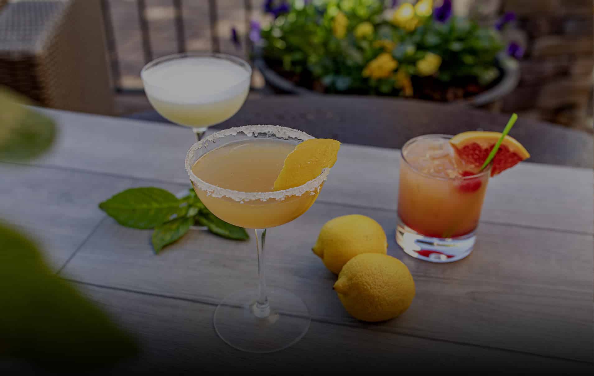 Napainspired restaurant and wine bar NAPA Kitchen and Wine