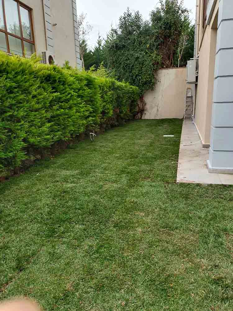 Rulo Hazır Serme Çim M2 Fiyatları