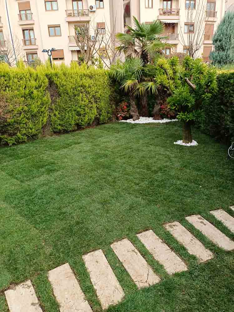 Rulo Hazır Serme Çim M2 Fiyatları