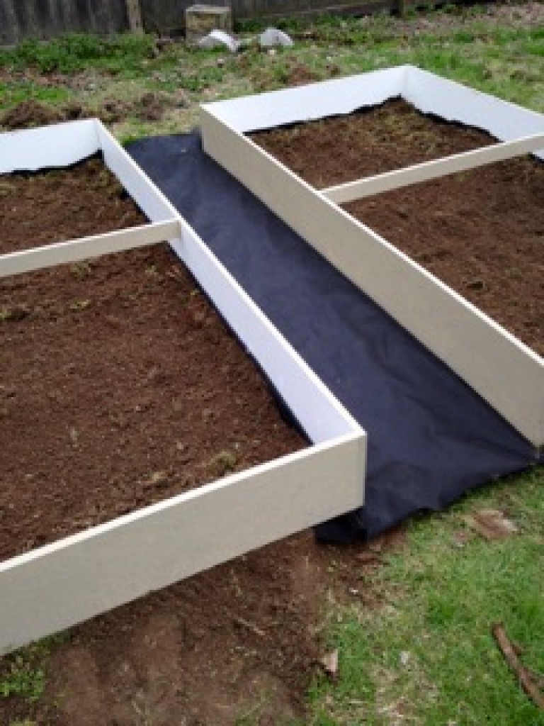 Intrepid Urban Farmer The real dirt on raised garden beds how to