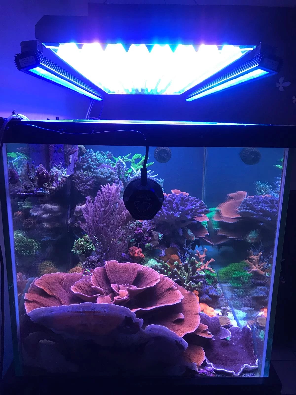 Orphek Reef OF 120 blauwe hemel Bar LEDverlichting met ATI T5 • Reef