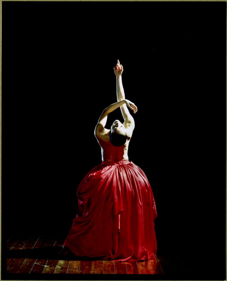 Digital Collections Pictures Budgeon, Chris. Felicia Palanca artist