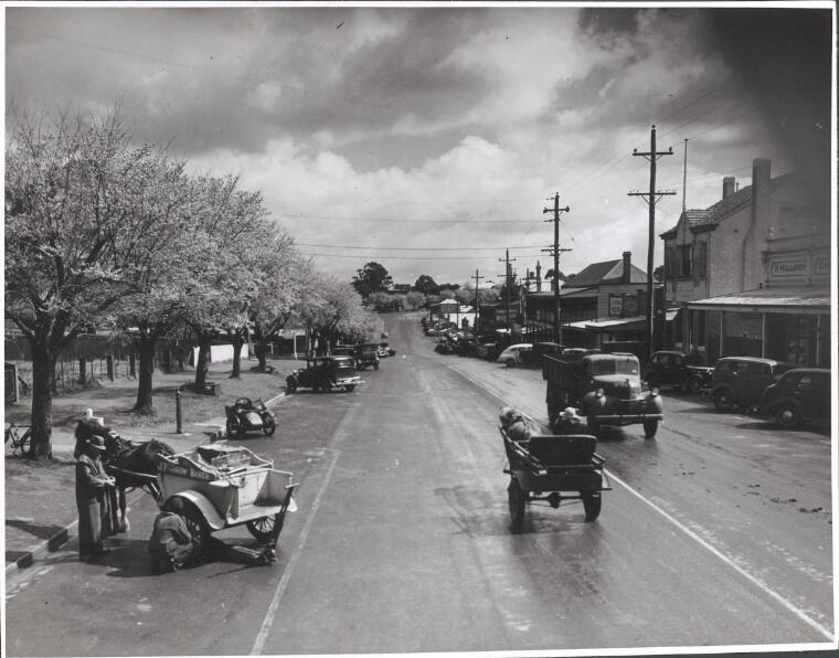 Digital Collections Pictures Fitzpatrick, Jim, 1916 Main Street