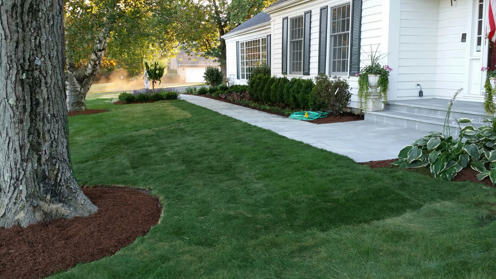 Landscape Planting Barrington IL The NL Group