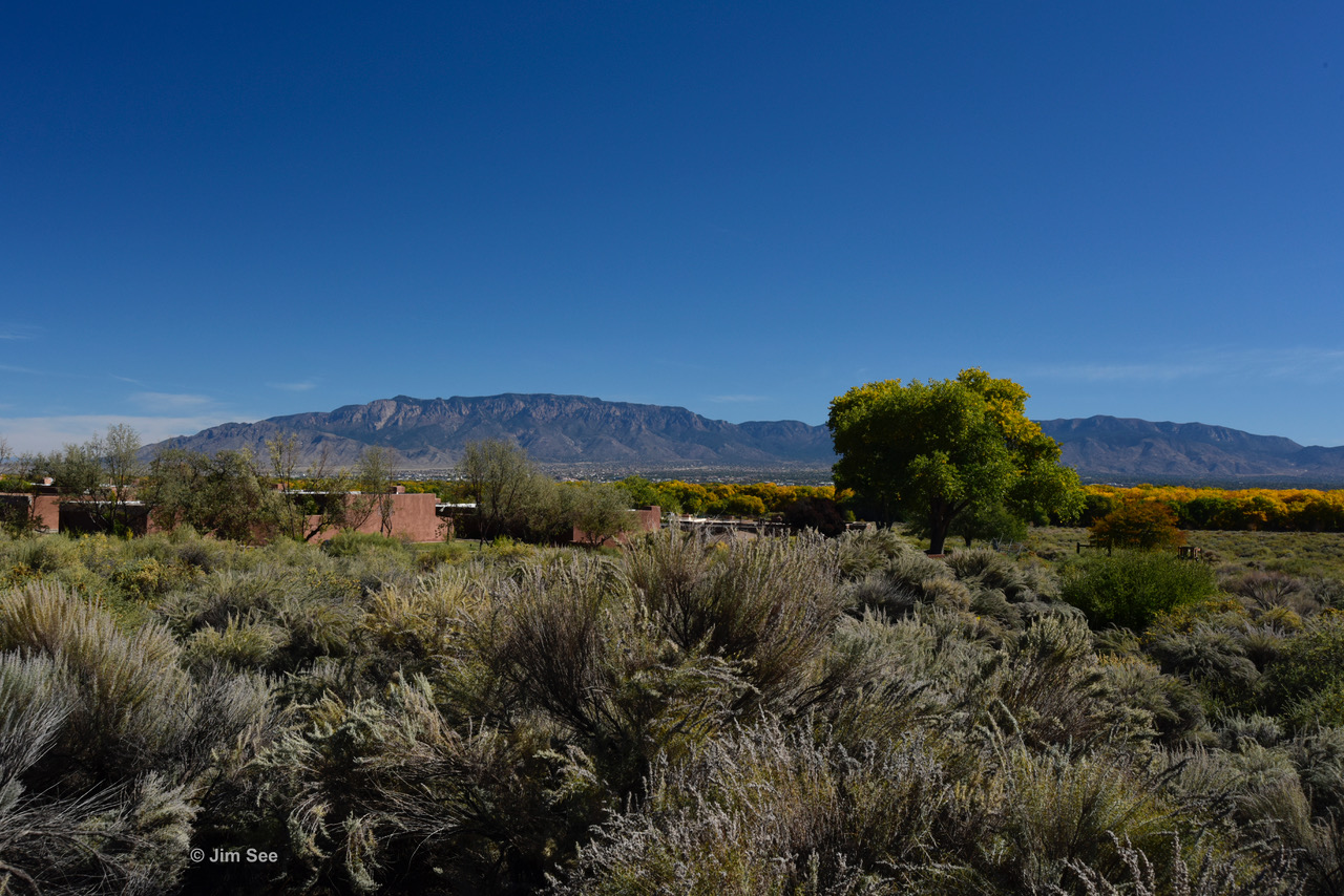 La Luz The Guide to New Mexico Architecture