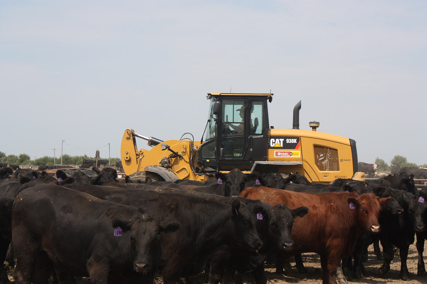 Crawford Cattle Customer Story NMC CAT Nebraska and Iowa