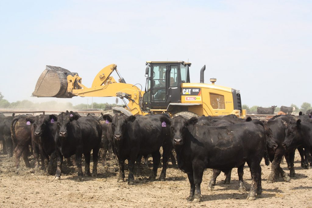 Crawford Cattle Customer Story NMC CAT Nebraska and Iowa