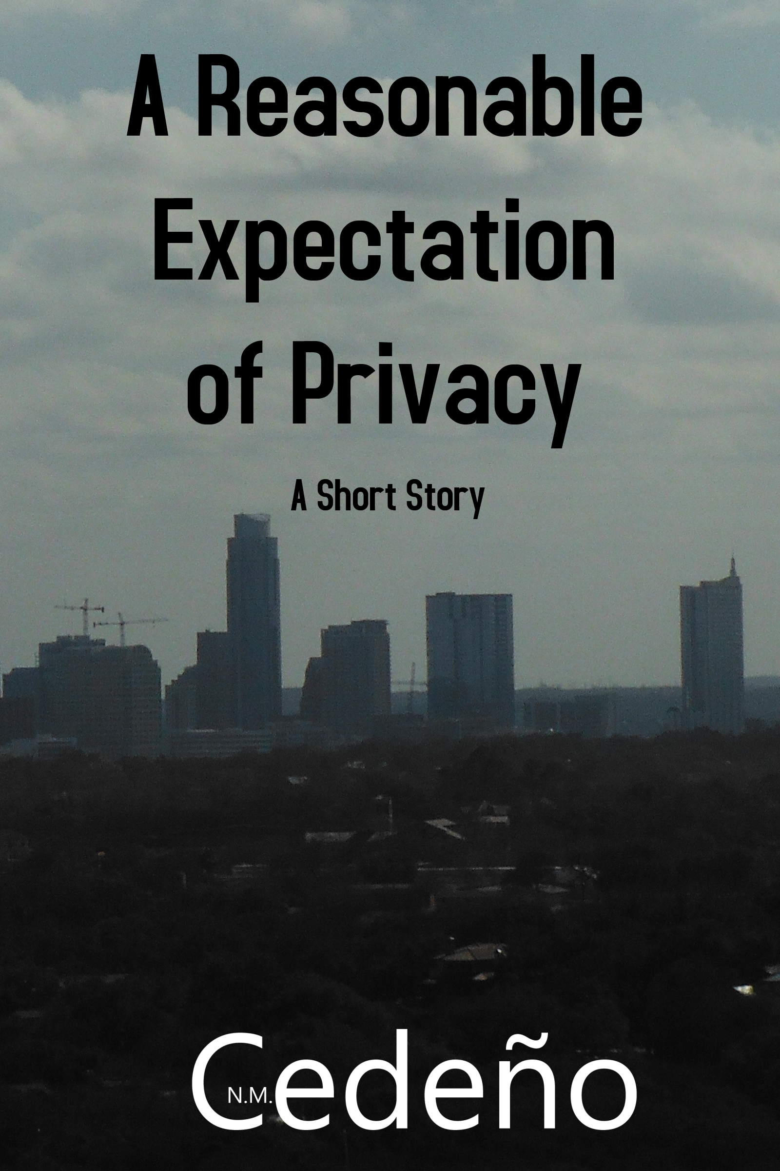 A Reasonable Expectation of Privacy N. M. Cedeño