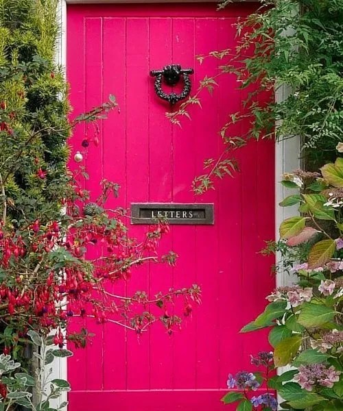 Top Tips For Fabulous Front Doors In New Zealand NM Design