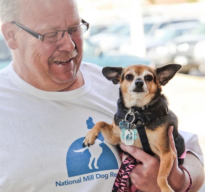 Pay Your Adoption Fee National Mill Dog Rescue