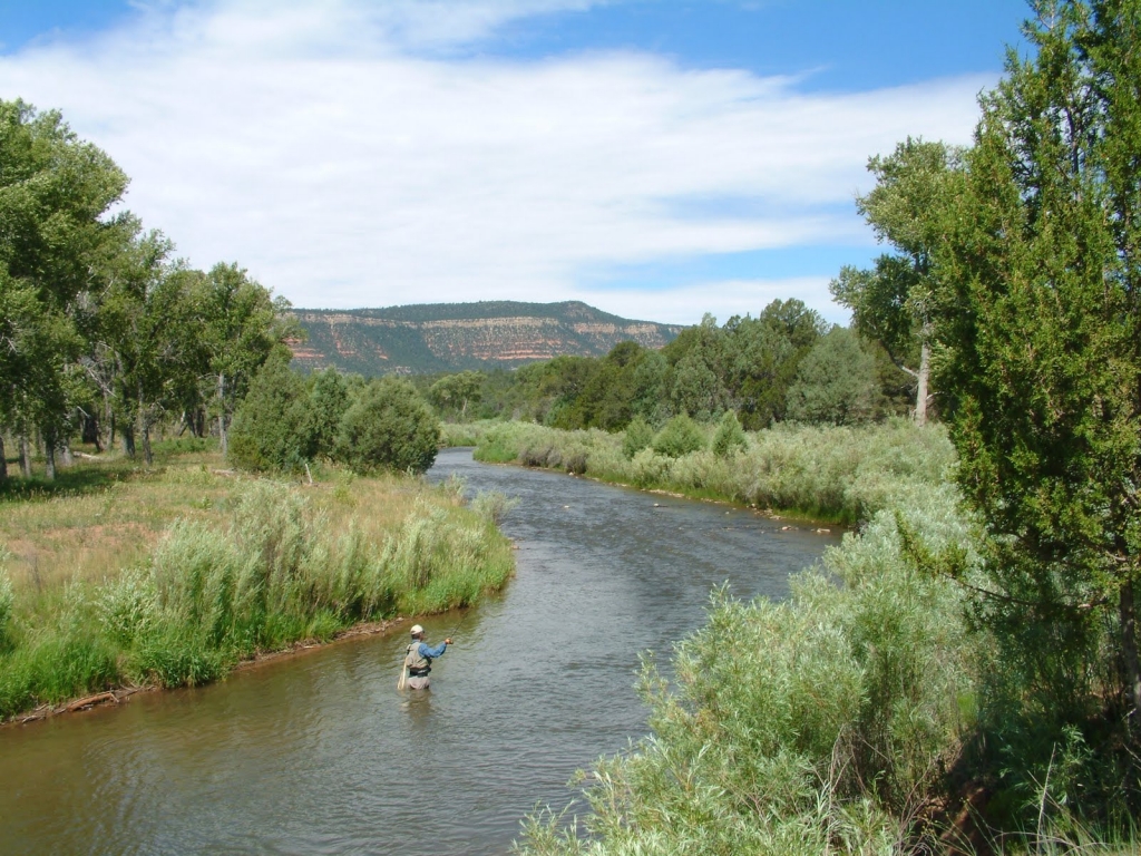 New Mexico Fly Fishing Photo Gallery