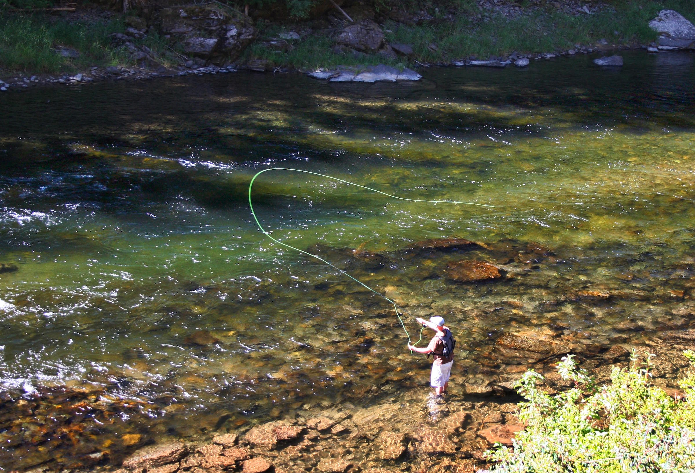 NATIVE RIO GRANDE CUTTHROAT TROUT RESCUED FROM TRES LAGUNAS FIRE AREA