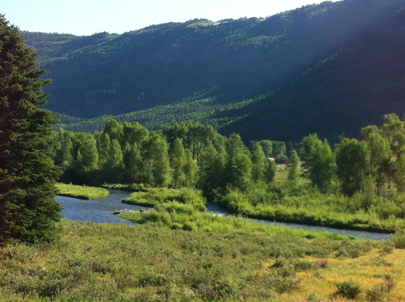 Ute Lake New Mexico Fly Fishing Report 01/08/2013