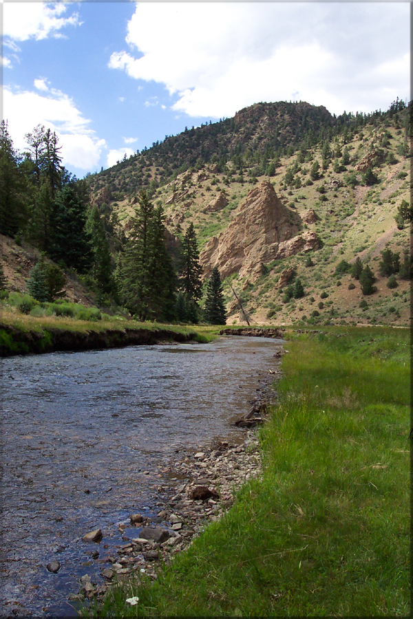 Rio Costilla New Mexico Fly Fishing