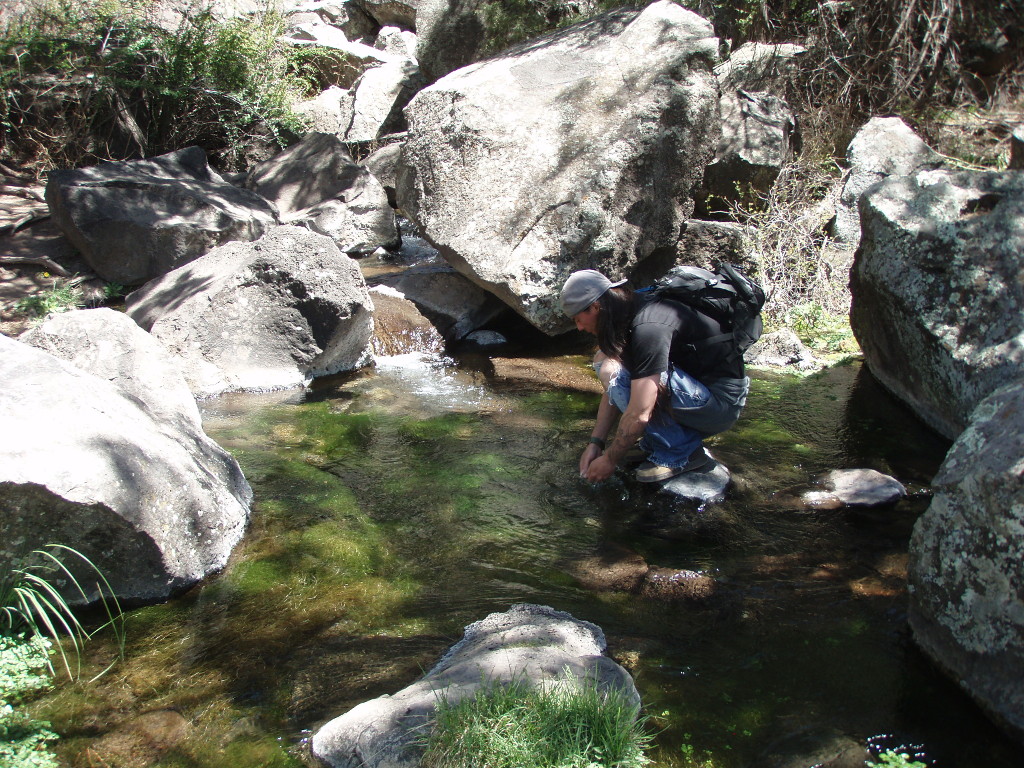 Incredible Pecos River Fishing New Mexico References